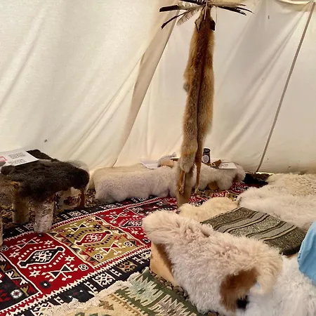 Romantic Wildlife Tipi Teepee Tomnatic Bihor Romania Apuseni *
