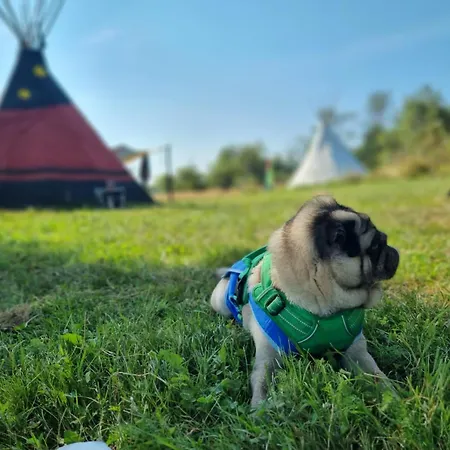 Romantic Wildlife Tipi Teepee Tomnatic Bihor Romania Apuseni *
